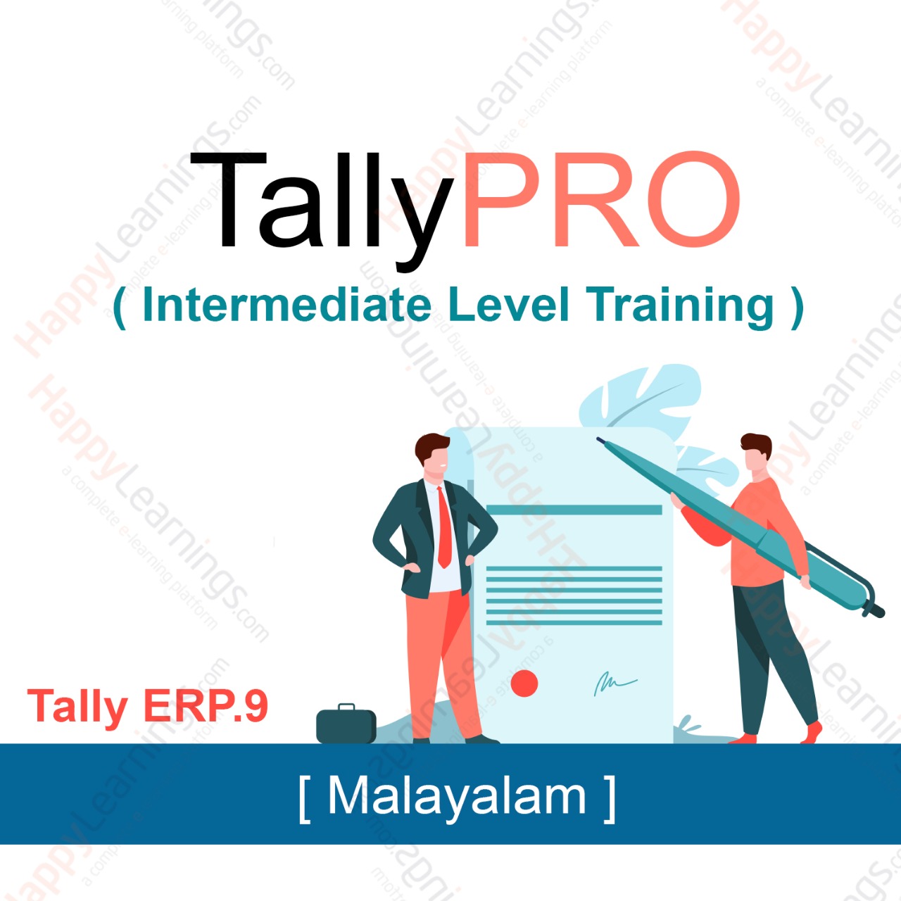Tally PRO Training 